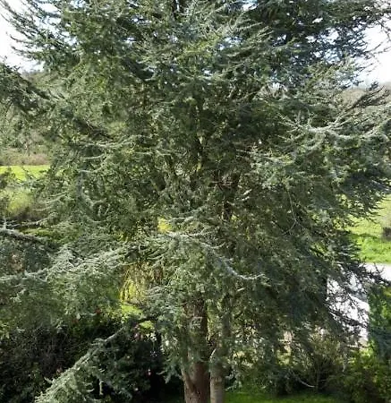 Nocleg ze śniadaniem Le Suiss - Santorin Le Vicel