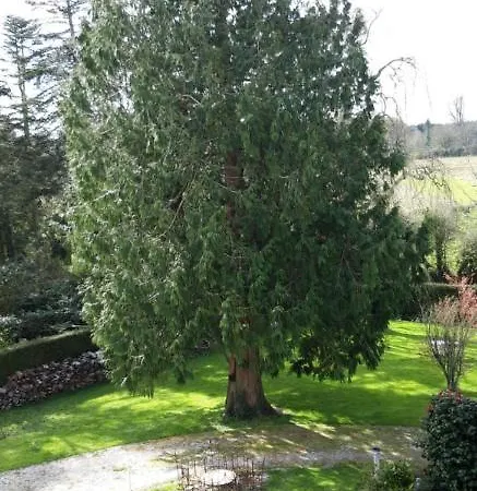 Le Suiss - Santorin 3*