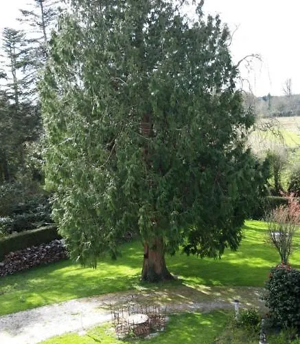 Le Suiss - Santorin 3*